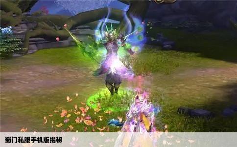 蜀门私服手机版揭秘